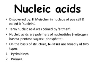 Nucleic acids
• Discovered by: F. Meischer in nucleus of pus cell &
called it ‘nuclein’.
• Term nucleic acid was coined by ‘altman’.
• Nucleic acids are polymers of nucleotides (=nitrogen
bases+ pentose sugars+ phosphate).
• On the basis of structure, N-Bases are broadly of two
types:
1. Pyrimidines
2. Purines
 