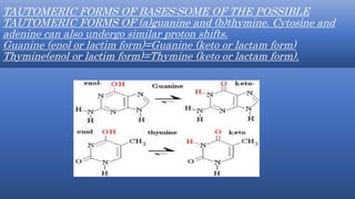 Structure of dna | PPTX