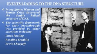 Structure of dna | PPTX