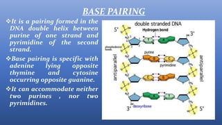 Structure of dna | PPTX