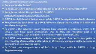 Structure of dna