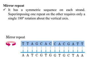 Structure of DNA | PDF