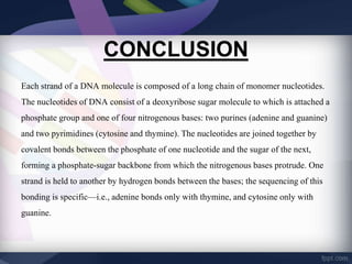 Structure of dna | PPTX