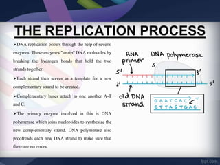 Structure of DNA | PPTX