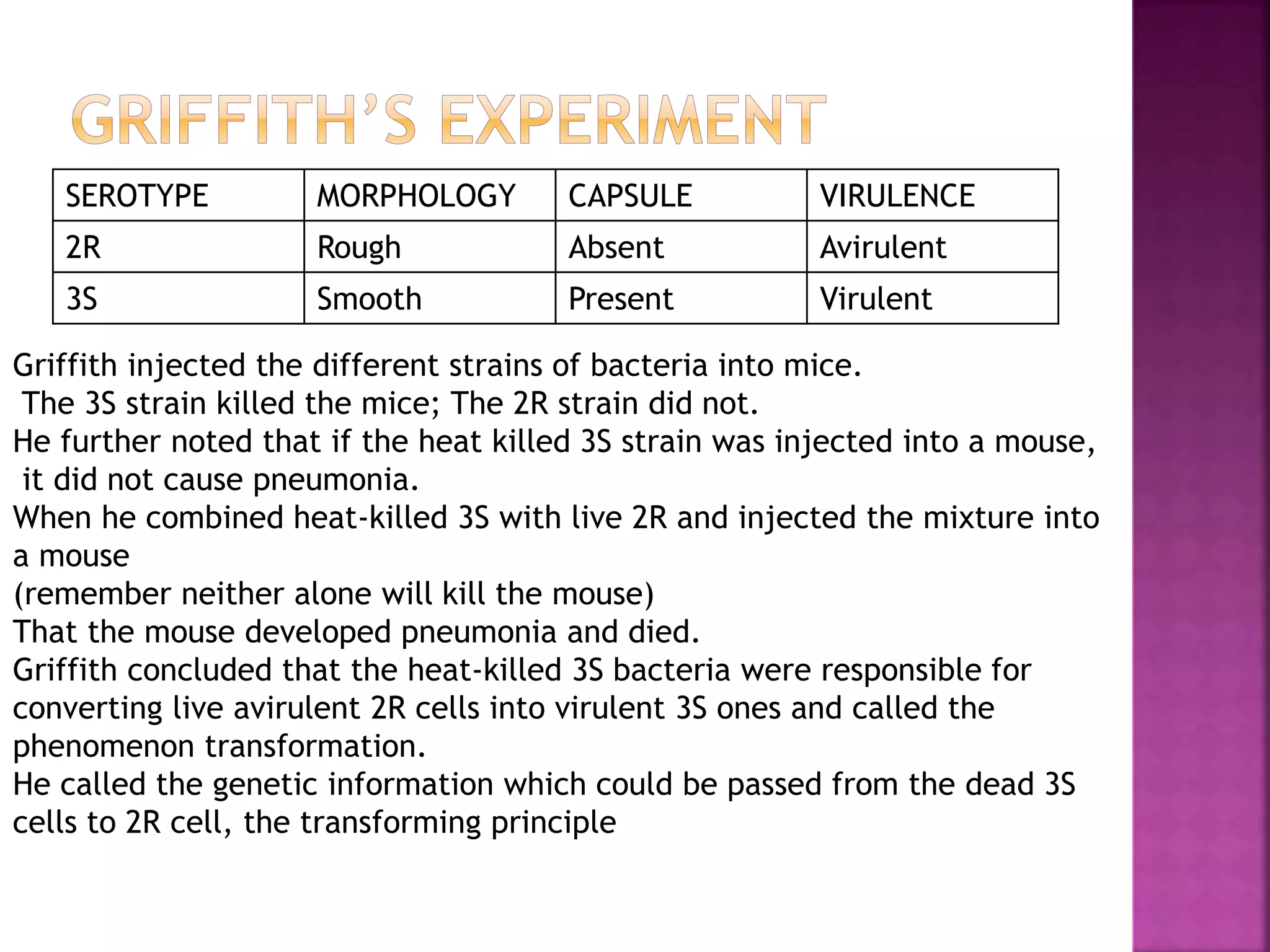 SEROTYPE MORPHOLOGY CAPSULE VIRULENCE
2R Rough Absent Avirulent
3S Smooth Present Virulent
Griffith injected the different strains of bacteria into mice.
The 3S strain killed the mice; The 2R strain did not.
He further noted that if the heat killed 3S strain was injected into a mouse,
it did not cause pneumonia.
When he combined heat-killed 3S with live 2R and injected the mixture into
a mouse
(remember neither alone will kill the mouse)
That the mouse developed pneumonia and died.
Griffith concluded that the heat-killed 3S bacteria were responsible for
converting live avirulent 2R cells into virulent 3S ones and called the
phenomenon transformation.
He called the genetic information which could be passed from the dead 3S
cells to 2R cell, the transforming principle
 