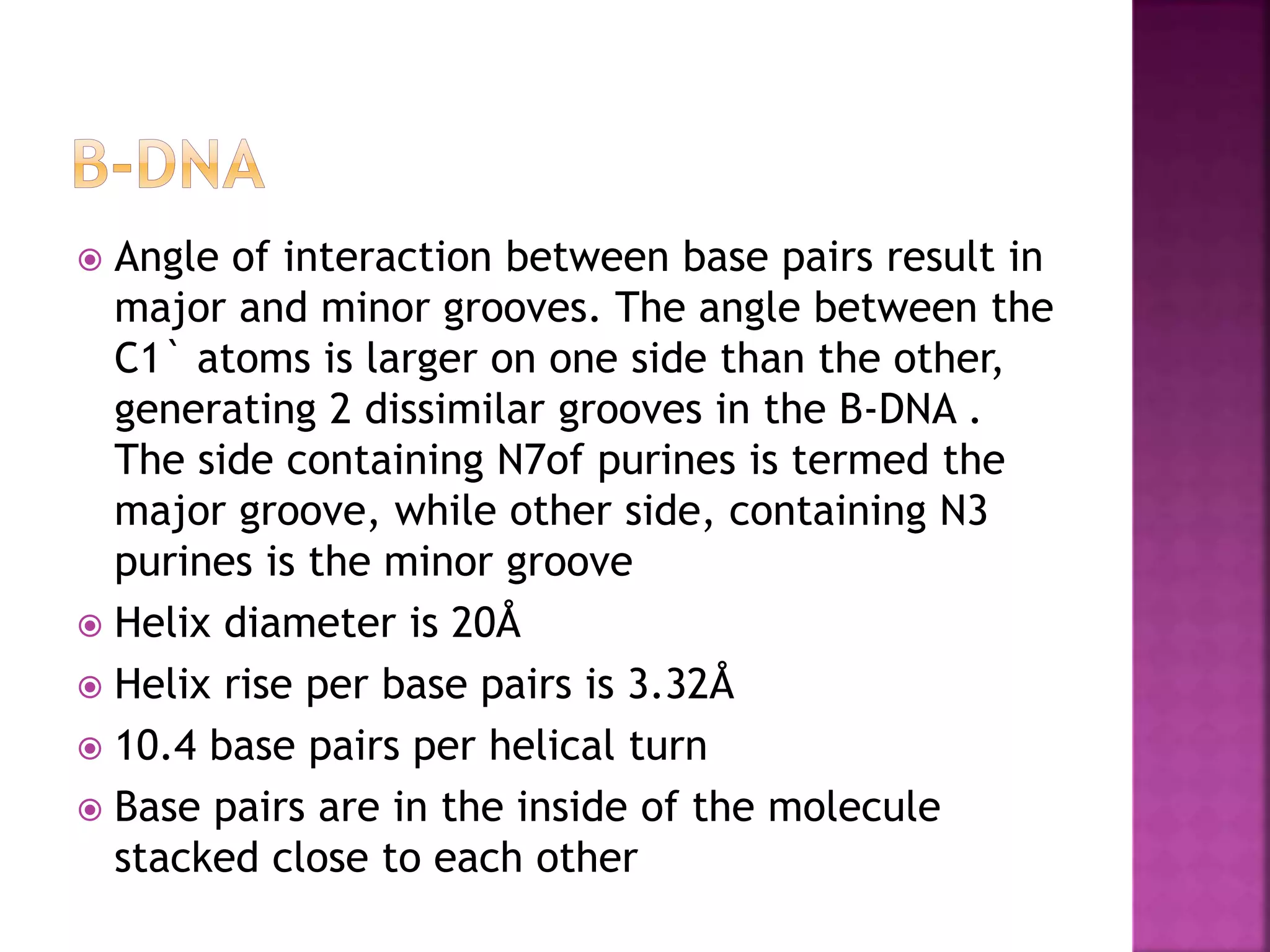  Angle of interaction between base pairs result in
major and minor grooves. The angle between the
C1` atoms is larger on one side than the other,
generating 2 dissimilar grooves in the B-DNA .
The side containing N7of purines is termed the
major groove, while other side, containing N3
purines is the minor groove
 Helix diameter is 20Å
 Helix rise per base pairs is 3.32Å
 10.4 base pairs per helical turn
 Base pairs are in the inside of the molecule
stacked close to each other
 