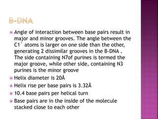 Structure of DNA.pptx