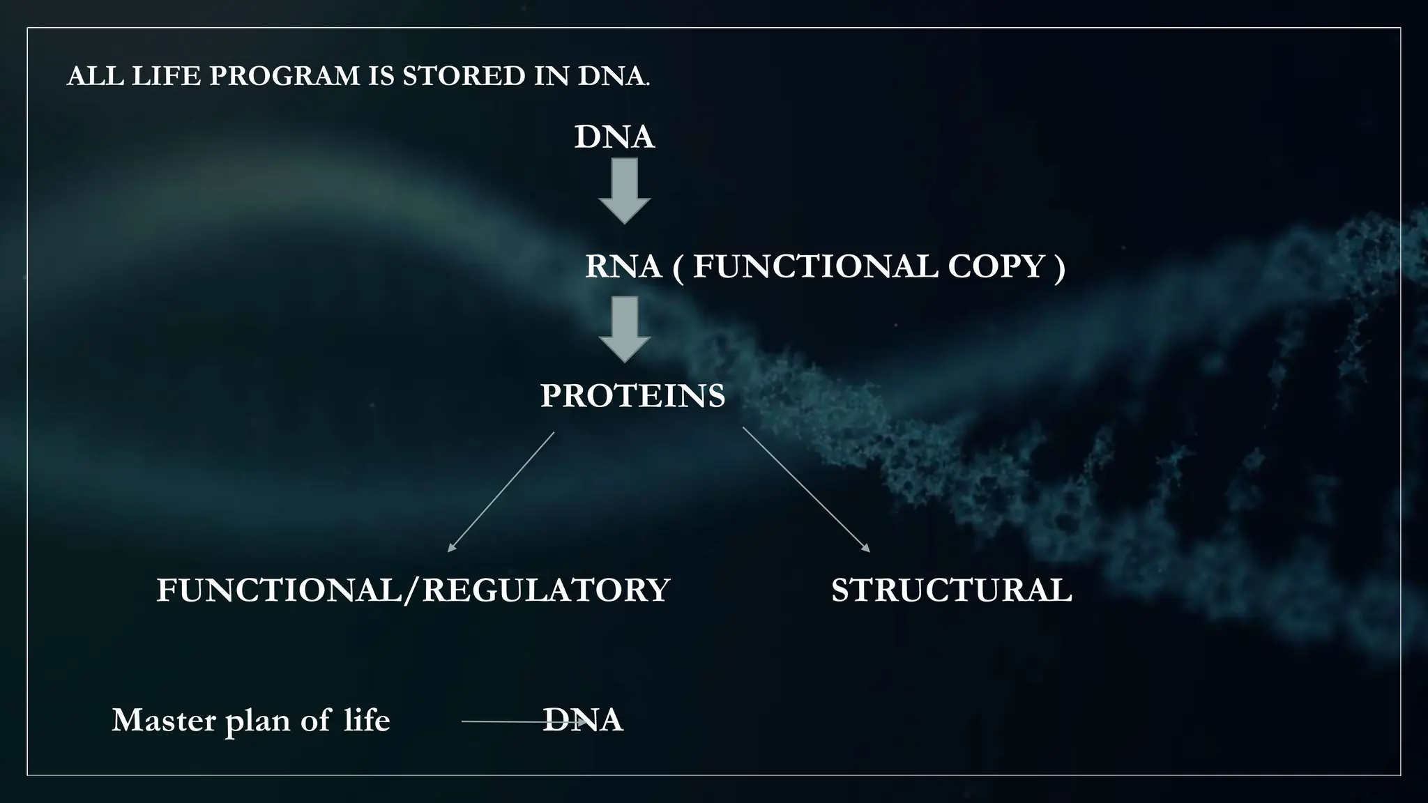 ALL LIFE PROGRAM IS STORED IN DNA.
DNA
RNA ( FUNCTIONAL COPY )
PROTEINS
FUNCTIONAL/REGULATORY STRUCTURAL
Master plan of life DNA