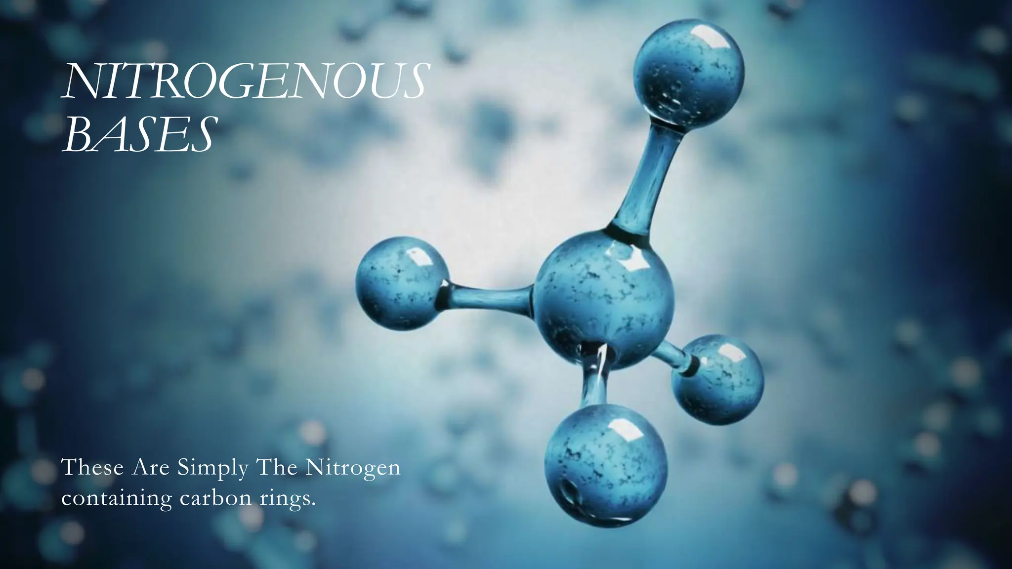NITROGENOUS
BASES
These Are Simply The Nitrogen
containing carbon rings.