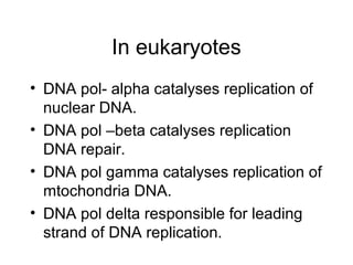Structure of dna and replication | PPT