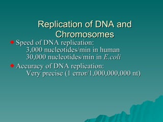 Structure of dna and replication2009 | PPT