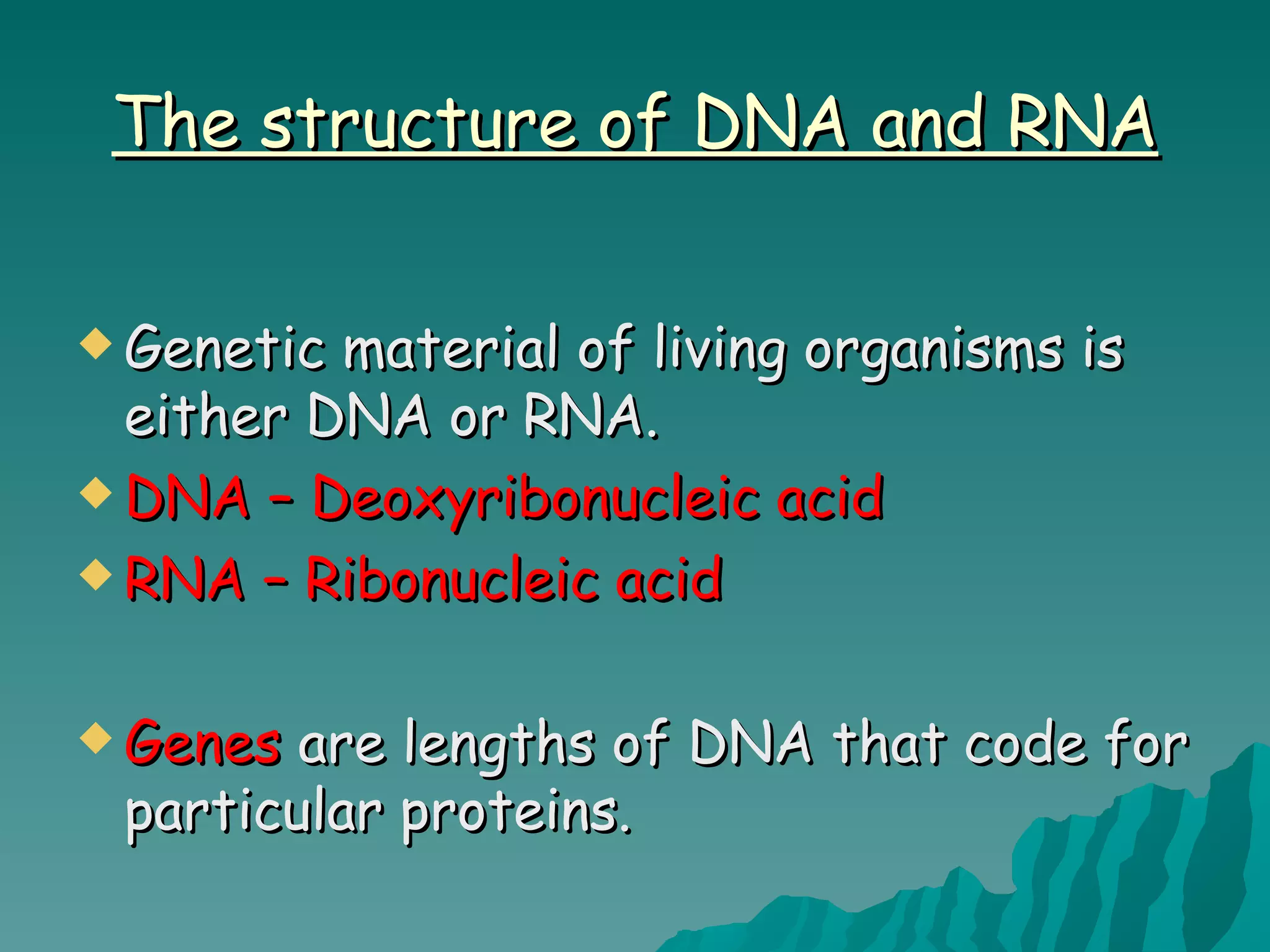 Structure of dna and replication2012 | PPT