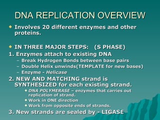Structure of dna and replication2012 | PPT