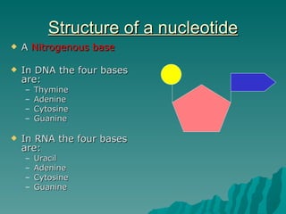 Structure of dna and replication2012 | PPT