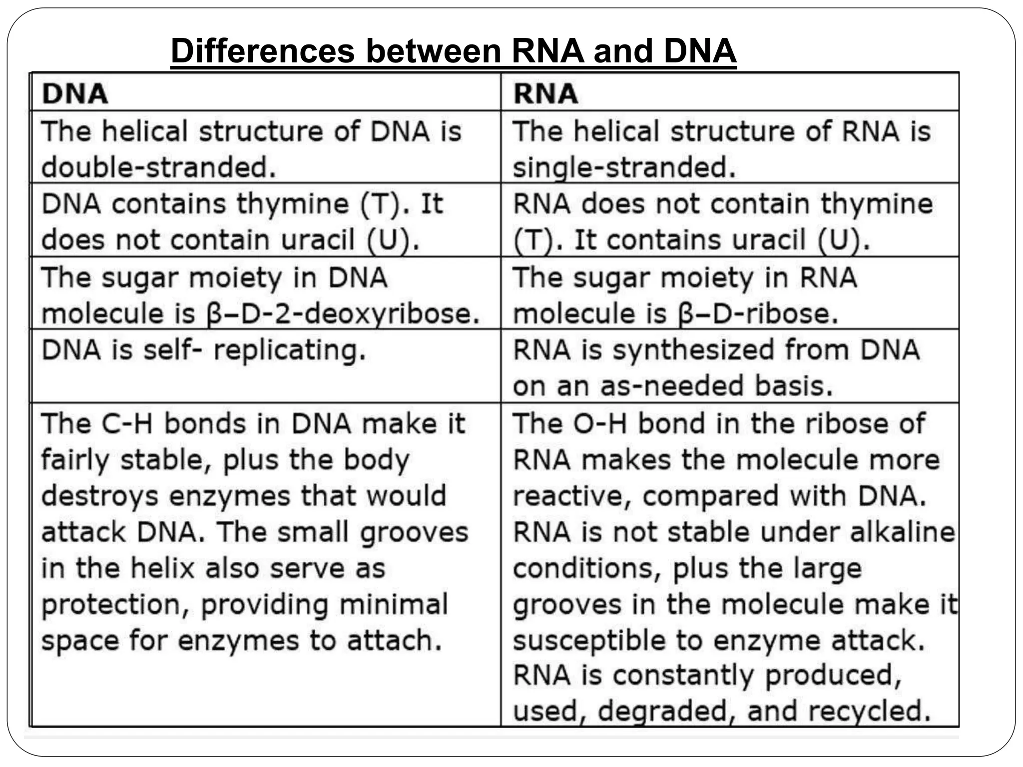 Structure of DNA and RNA and its functions PPT