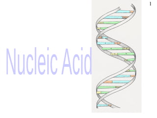Comprehensive Overview of Nucleic Acids: DNA and RNA Functions ...