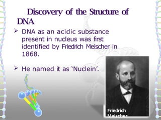 Kreatives Bild zu Structure of DNA and RNA and functions.pptx Structure of DNA and RNA and functions.pptx Illustration