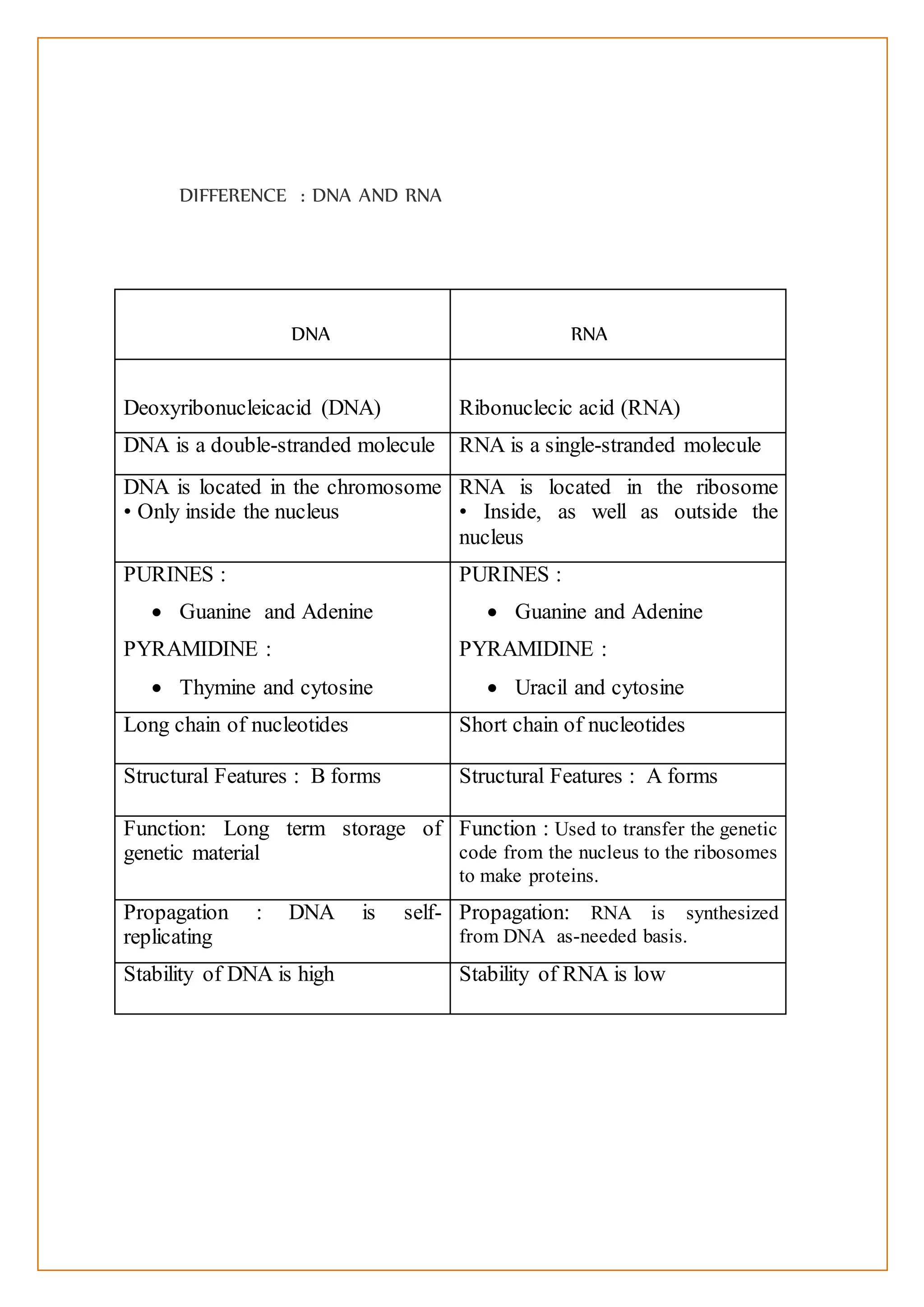 Structure of dna and rna and their difference | DOCX