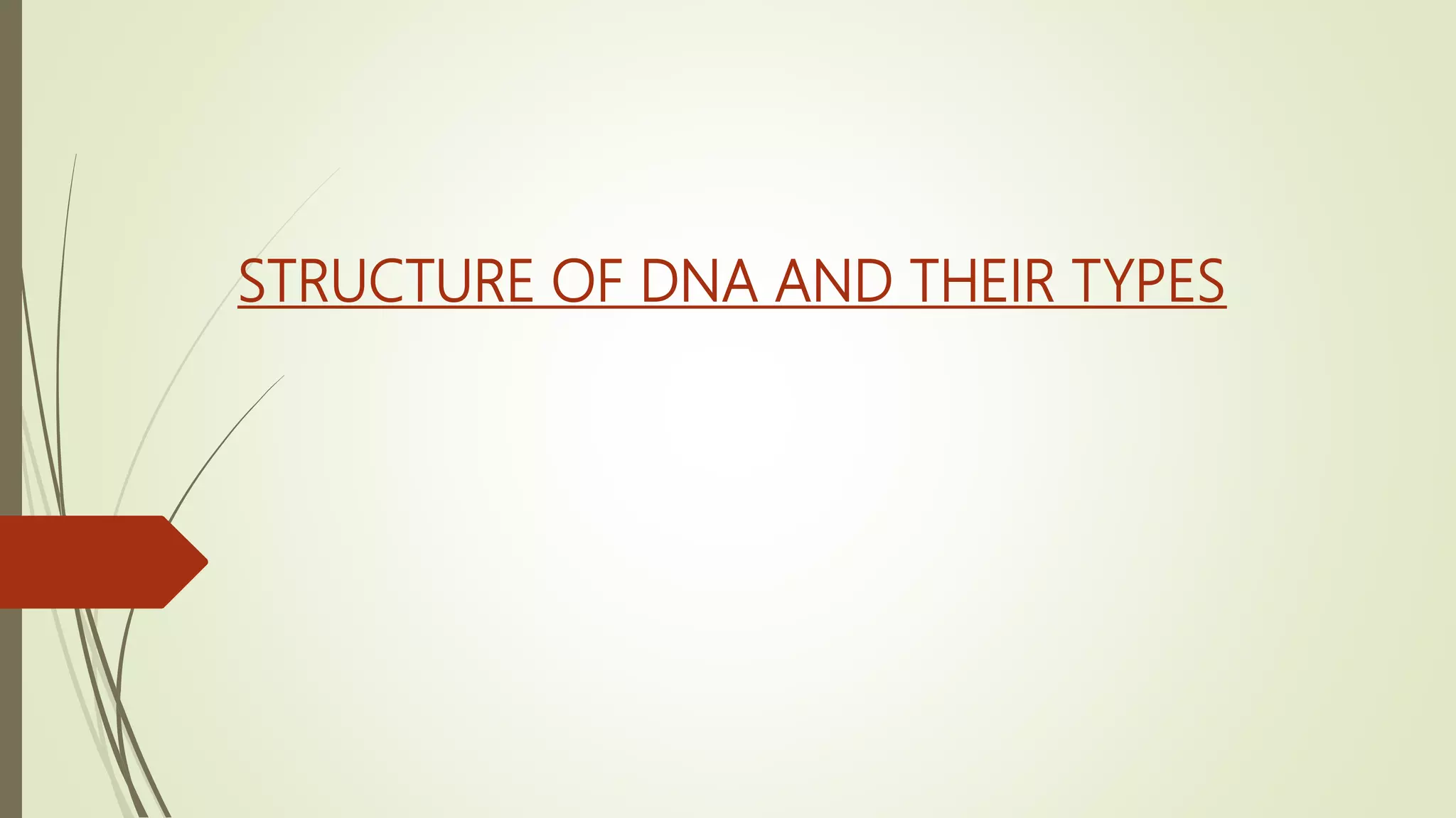 STRUCTURE OF DNA AND THEIR TYPES.pptx