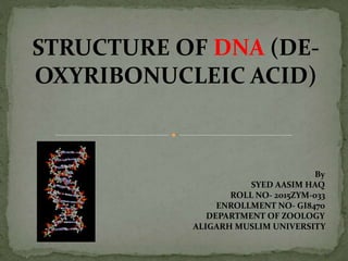 By
SYED AASIM HAQ
ROLL NO- 2015ZYM-033
ENROLLMENT NO- GI8470
DEPARTMENT OF ZOOLOGY
ALIGARH MUSLIM UNIVERSITY
STRUCTURE OF DNA (DE-
OXYRIBONUCLEIC ACID)
 