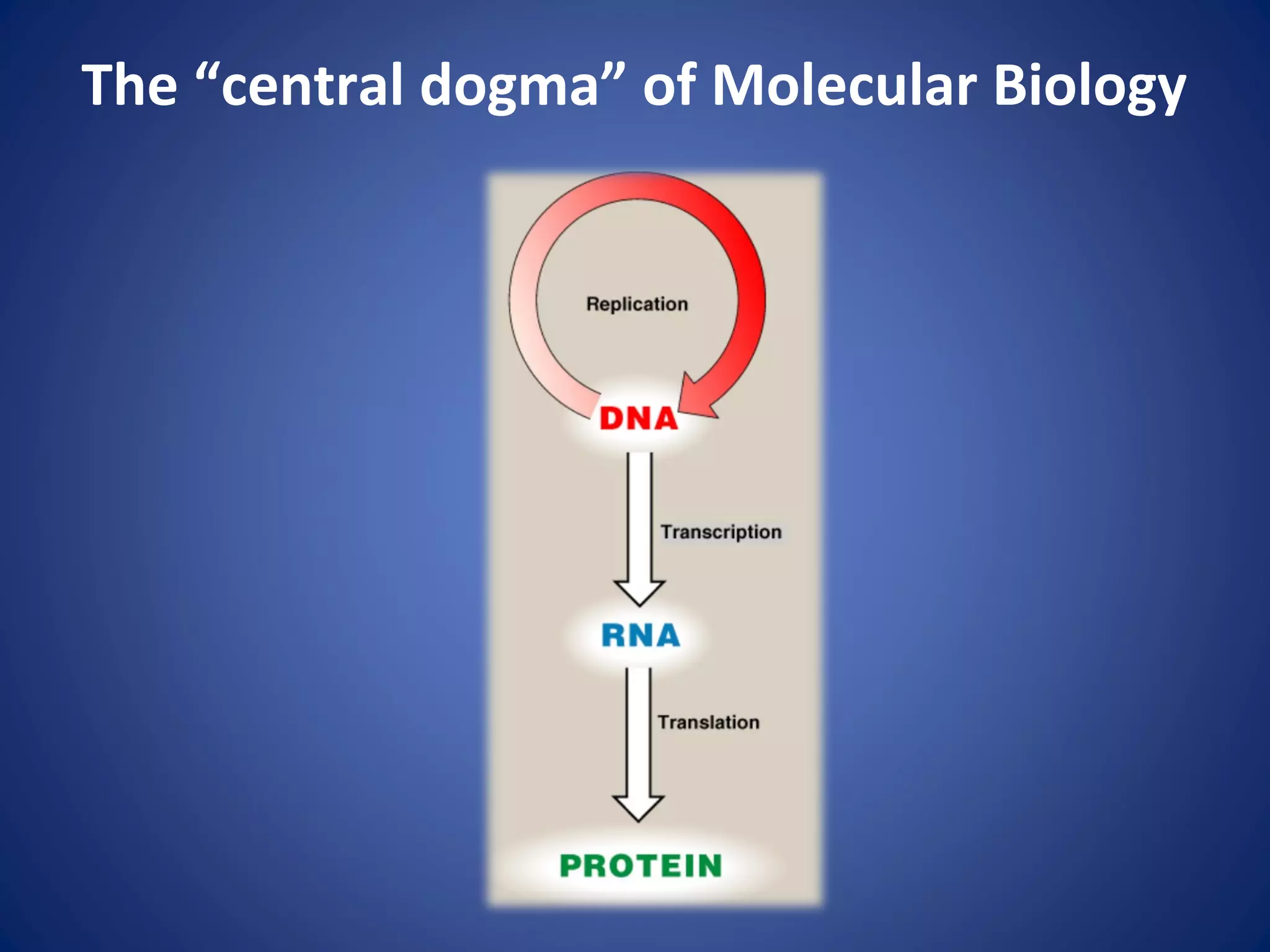 The “central dogma” of Molecular Biology
 