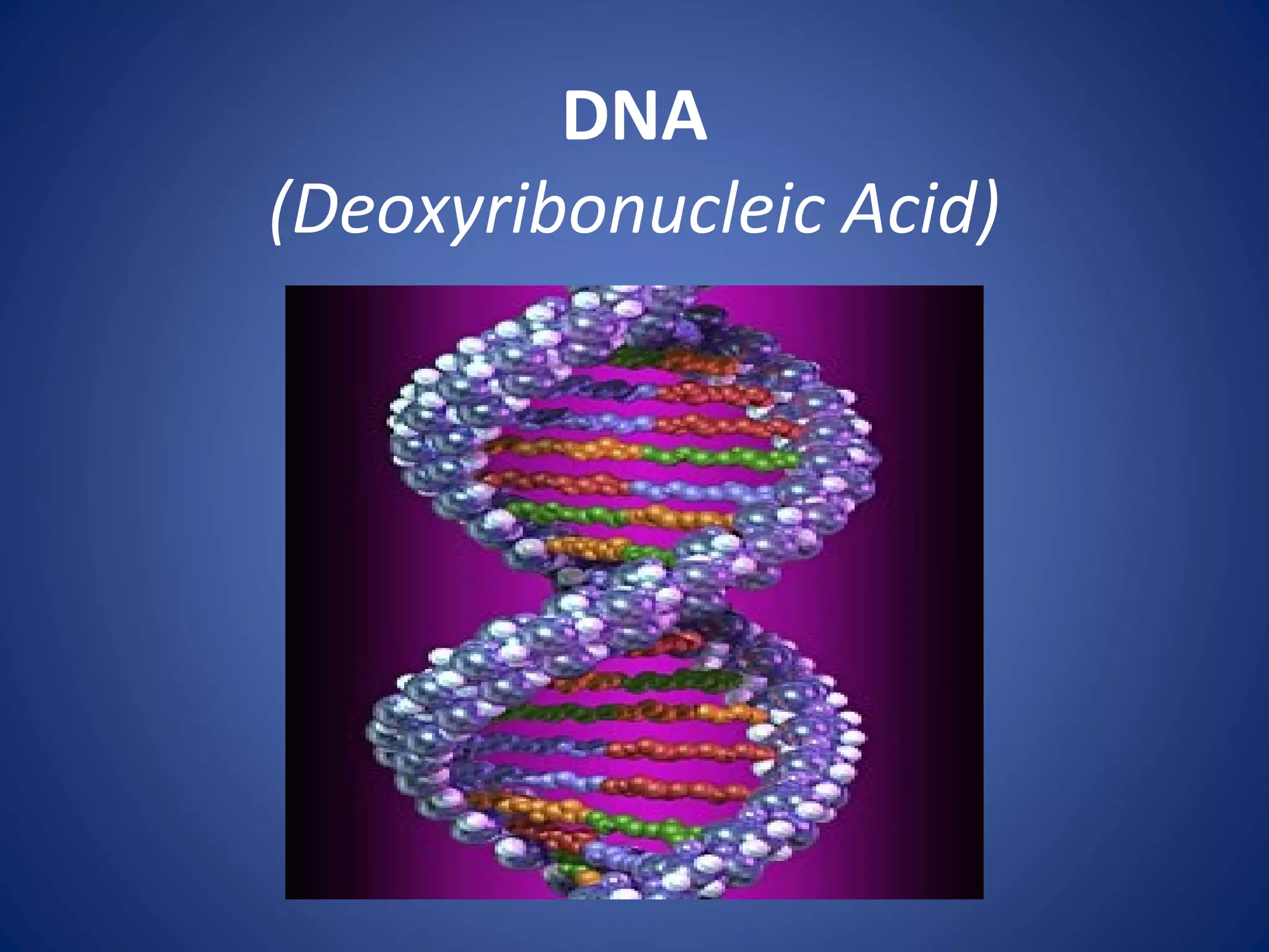 DNA
(Deoxyribonucleic Acid)
 
