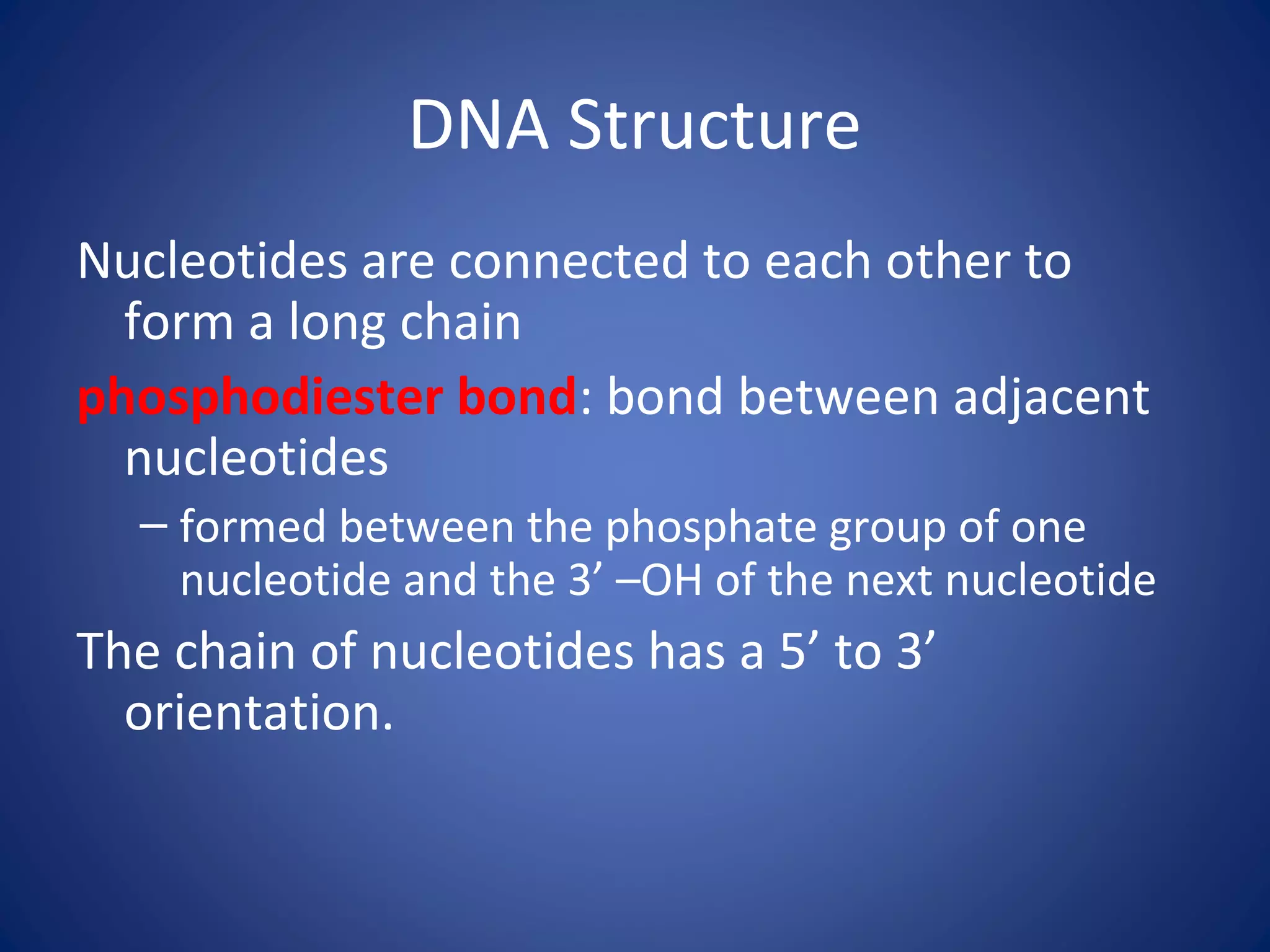 DNA Structure
Nucleotides are connected to each other to
form a long chain
phosphodiester bond: bond between adjacent
nucleotides
– formed between the phosphate group of one
nucleotide and the 3’ –OH of the next nucleotide
The chain of nucleotides has a 5’ to 3’
orientation.
 