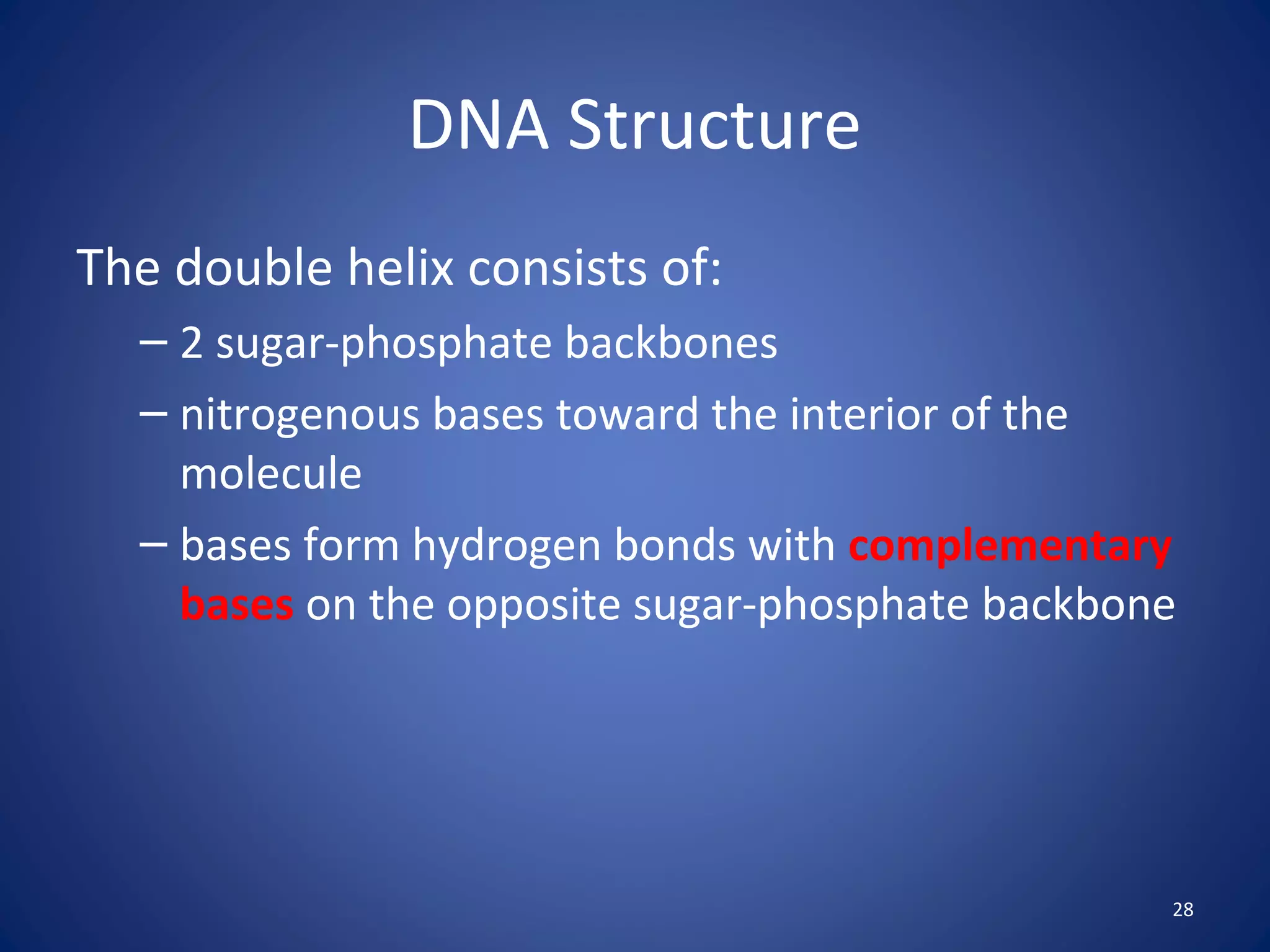 28
DNA Structure
The double helix consists of:
– 2 sugar-phosphate backbones
– nitrogenous bases toward the interior of the
molecule
– bases form hydrogen bonds with complementary
bases on the opposite sugar-phosphate backbone
 