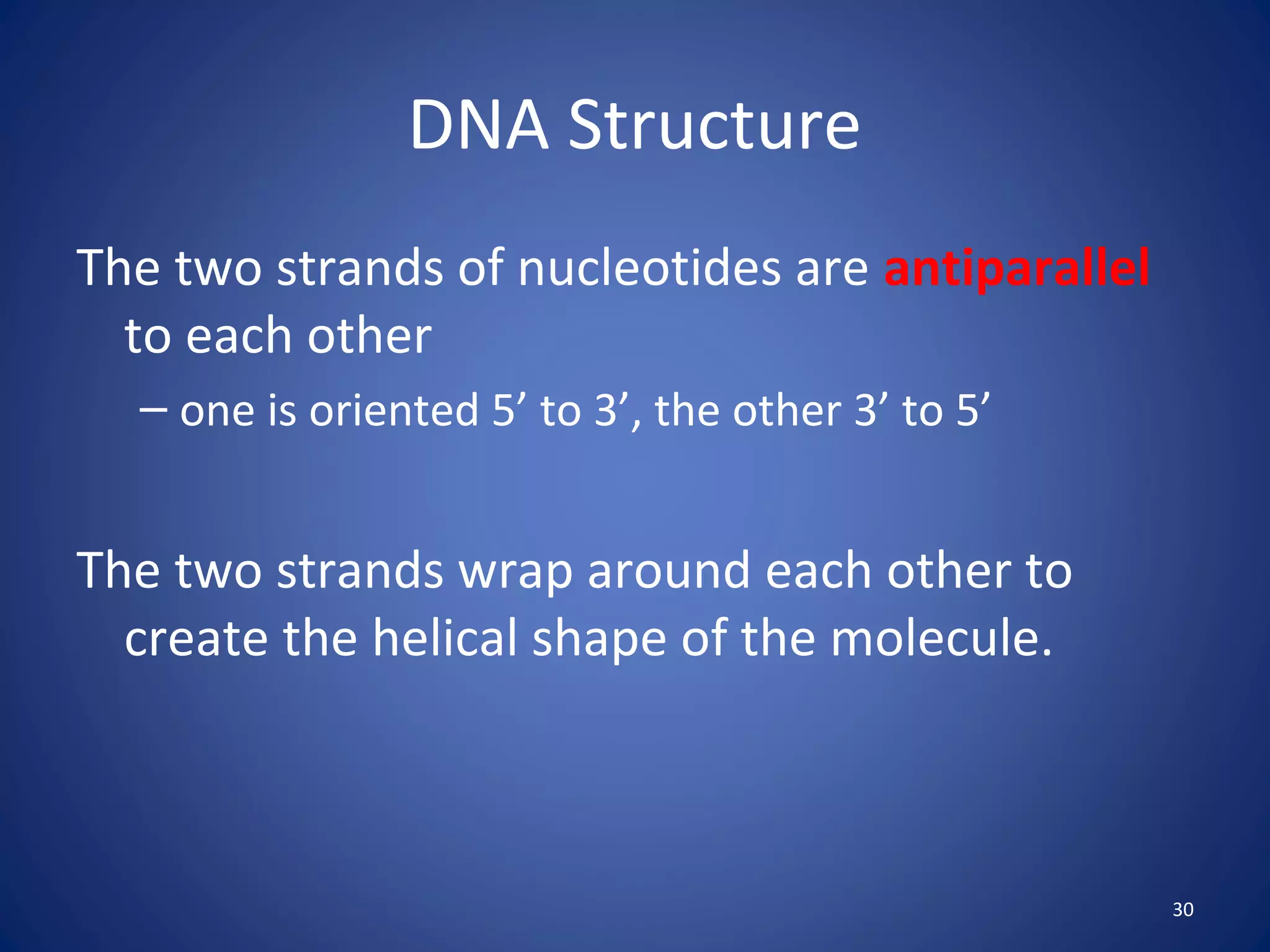 30
DNA Structure
The two strands of nucleotides are antiparallel
to each other
– one is oriented 5’ to 3’, the other 3’ to 5’
The two strands wrap around each other to
create the helical shape of the molecule.
 