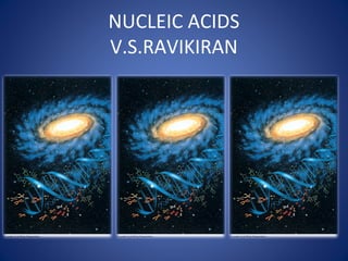 NUCLEIC ACIDS
V.S.RAVIKIRAN
 