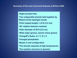 Structure of DNA for medical school