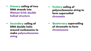 Structure of dna, its organization & functions, july 2020 | PPT