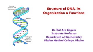Structure of DNA, Its
Organization & Functions
Dr. Ifat Ara Begum
Associate Professor
Department of Biochemistry
Dhaka Medical College, Dhaka
 