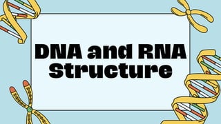 Structure of Dna and RNA Presentation.pdf