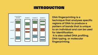 Dna Identification Form.pdf Structure of Dna Presentation (1).pdf of class 1th | PDF