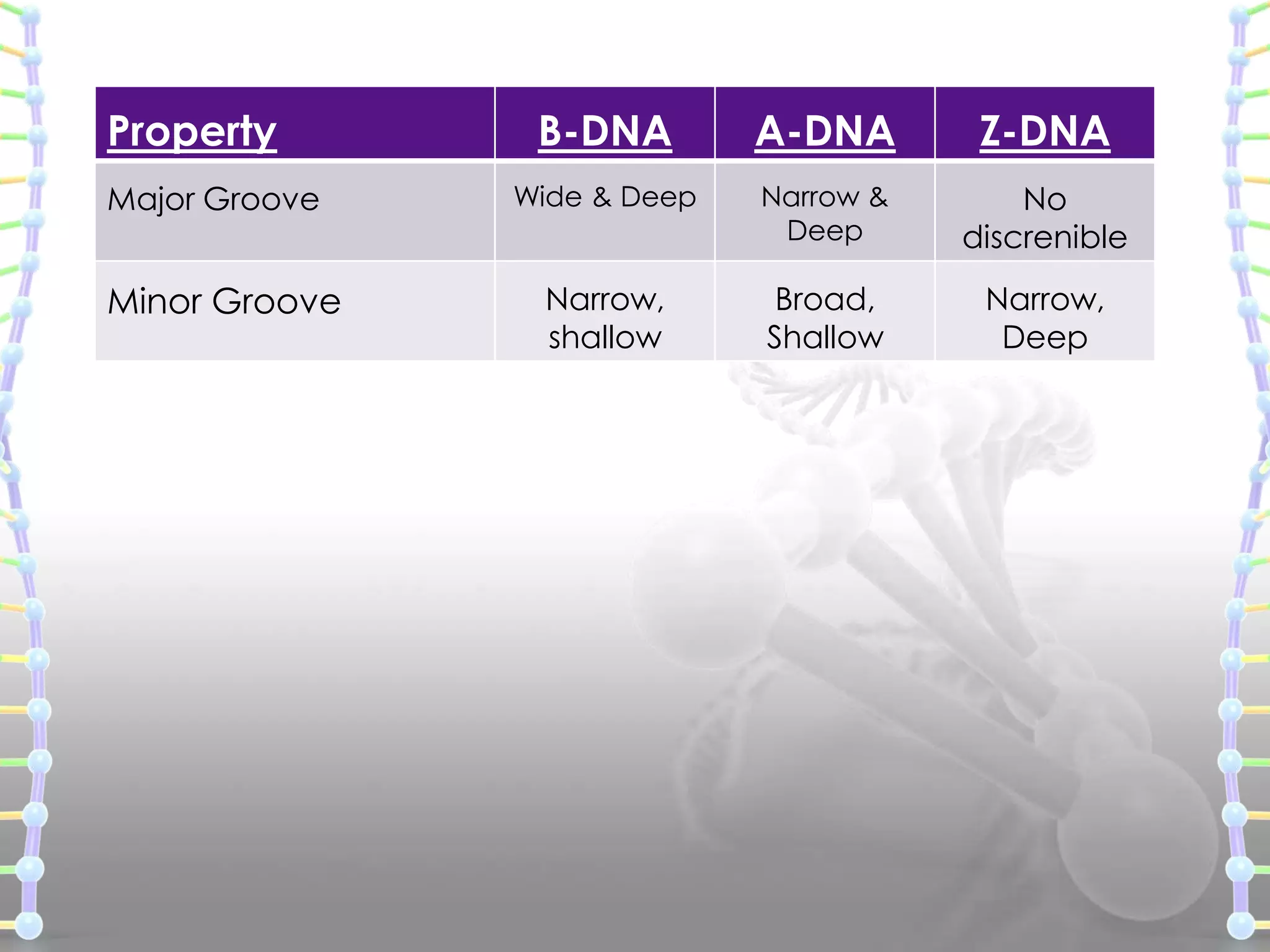 Property
Major Groove

Minor Groove

B-DNA

A-DNA

Z-DNA

Wide & Deep

Narrow &
Deep

No
discrenible

Narrow,
shallow

Broad,
Shallow

Narrow,
Deep

 