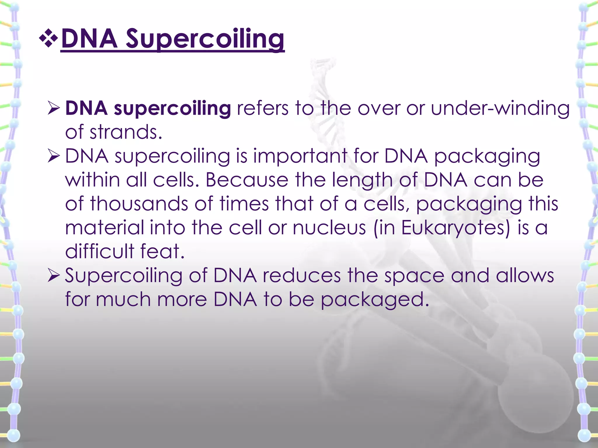DNA Supercoiling
 DNA supercoiling refers to the over or under-winding
of strands.
 DNA supercoiling is important for DNA packaging
within all cells. Because the length of DNA can be
of thousands of times that of a cells, packaging this
material into the cell or nucleus (in Eukaryotes) is a
difficult feat.
 Supercoiling of DNA reduces the space and allows
for much more DNA to be packaged.

 