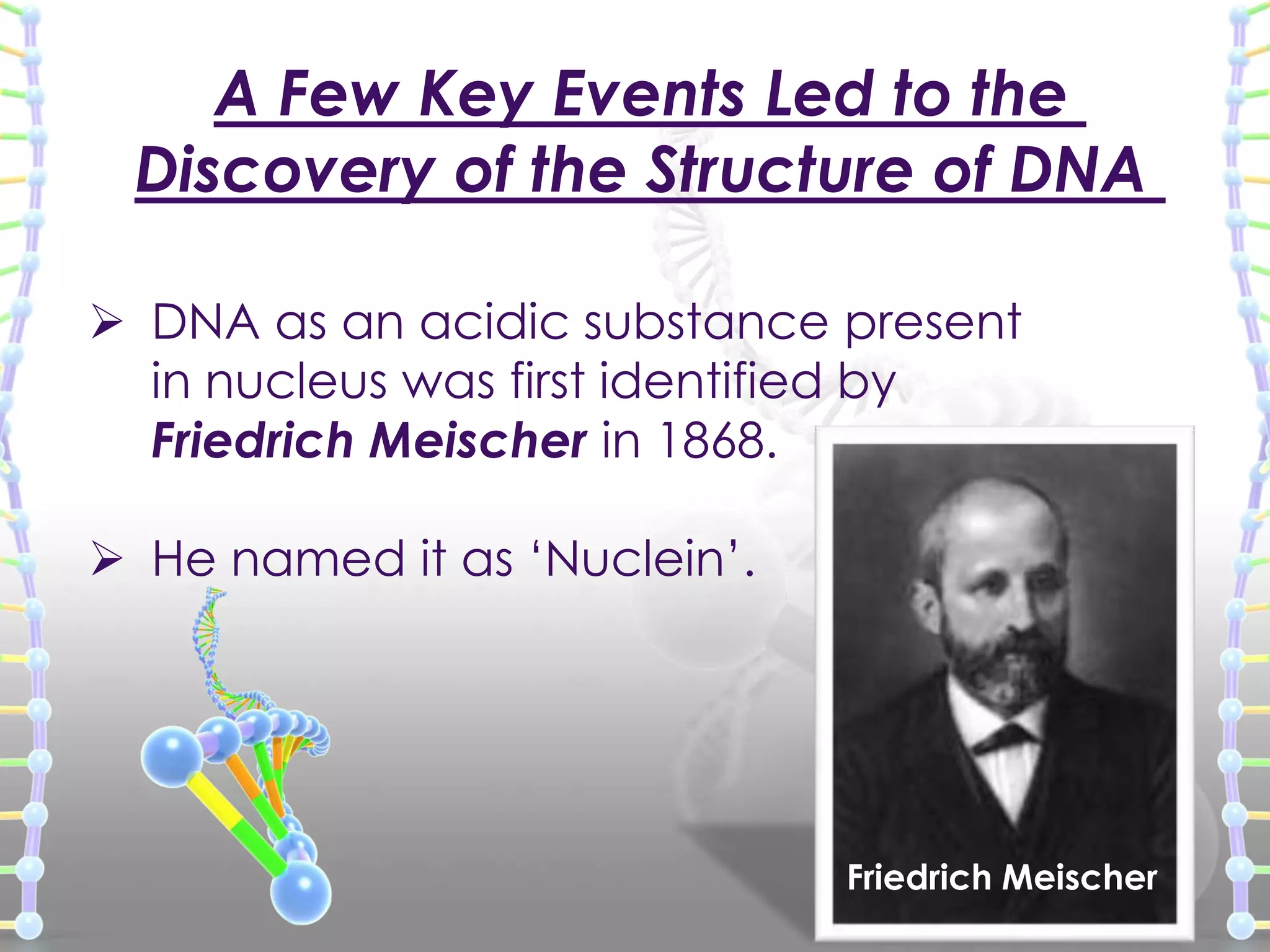 A Few Key Events Led to the
Discovery of the Structure of DNA
 DNA as an acidic substance present
in nucleus was first identified by
Friedrich Meischer in 1868.
 He named it as ‘Nuclein’.

Friedrich Meischer

 