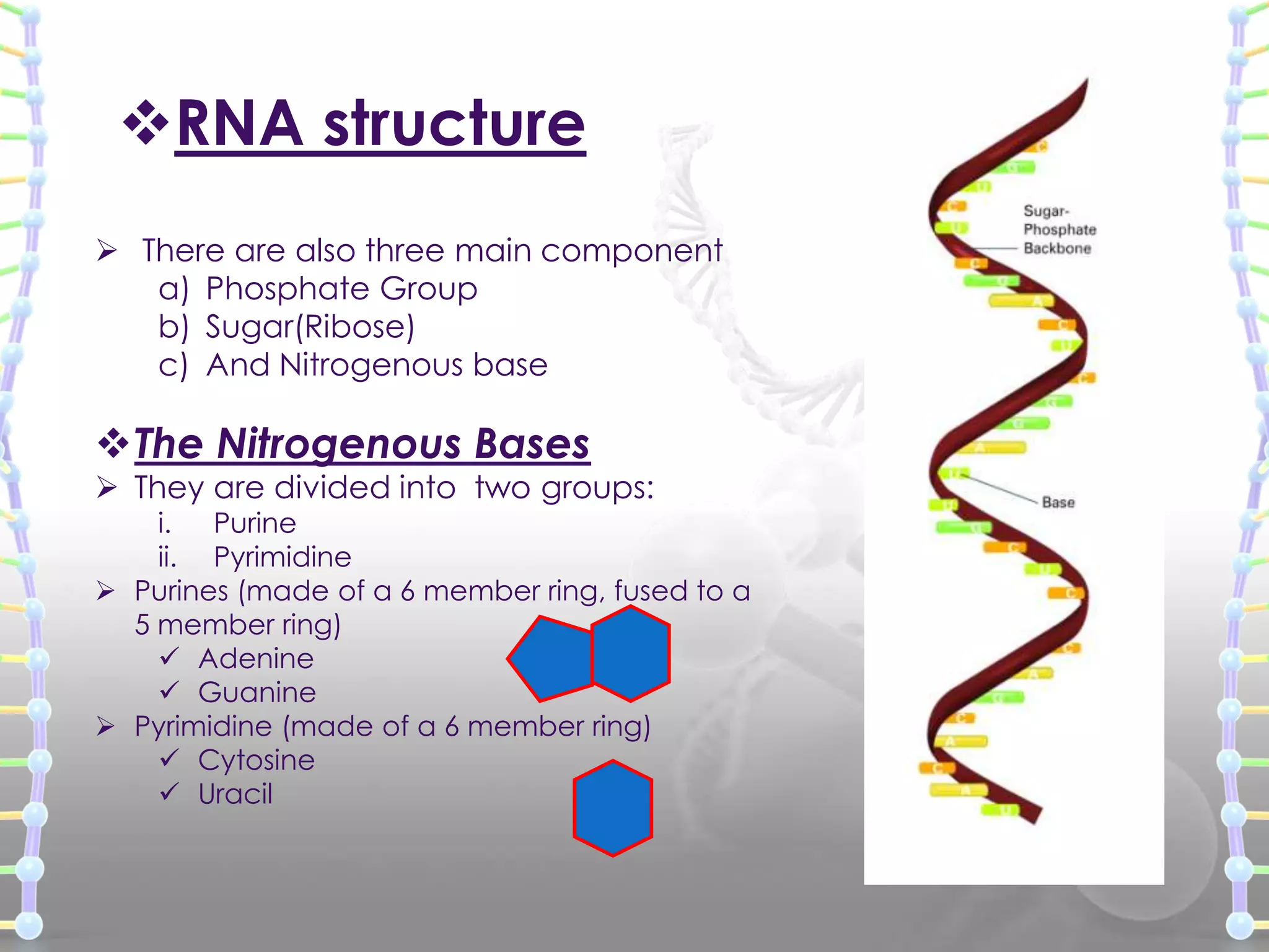 RNA structure
 There are also three main component
a) Phosphate Group
b) Sugar(Ribose)
c) And Nitrogenous base

The Nitrogenous Bases

 They are divided into two groups:

i. Purine
ii. Pyrimidine
 Purines (made of a 6 member ring, fused to a
5 member ring)
 Adenine
 Guanine
 Pyrimidine (made of a 6 member ring)
 Cytosine
 Uracil

 