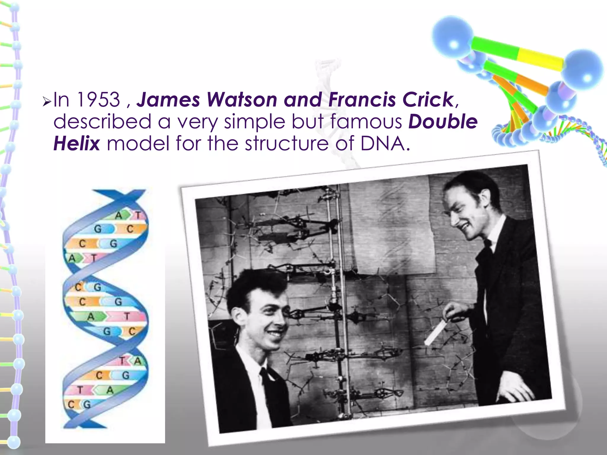 In

1953 , James Watson and Francis Crick,
described a very simple but famous Double
Helix model for the structure of DNA.

 