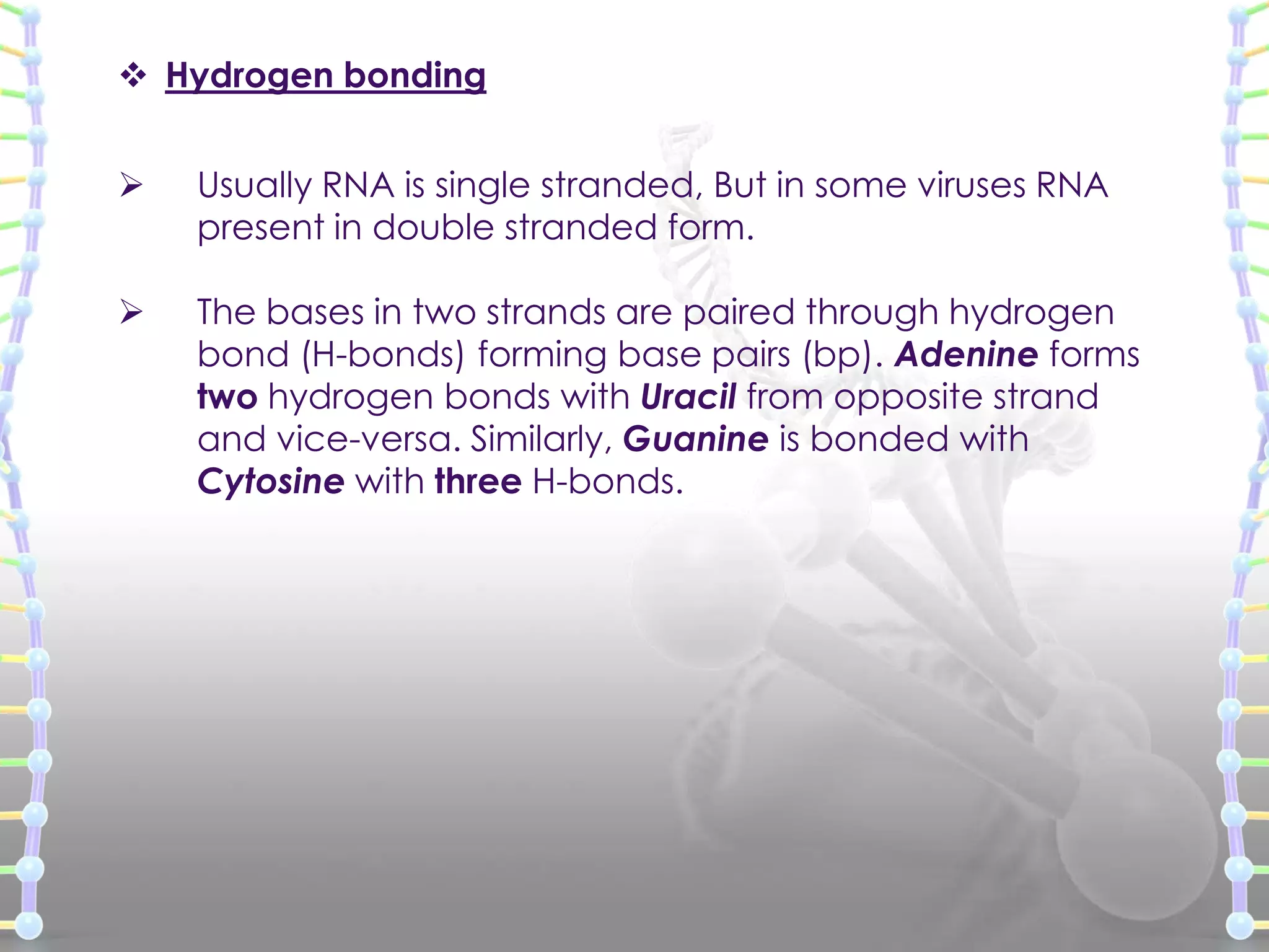  Hydrogen bonding


Usually RNA is single stranded, But in some viruses RNA
present in double stranded form.



The bases in two strands are paired through hydrogen
bond (H-bonds) forming base pairs (bp). Adenine forms
two hydrogen bonds with Uracil from opposite strand
and vice-versa. Similarly, Guanine is bonded with
Cytosine with three H-bonds.

 