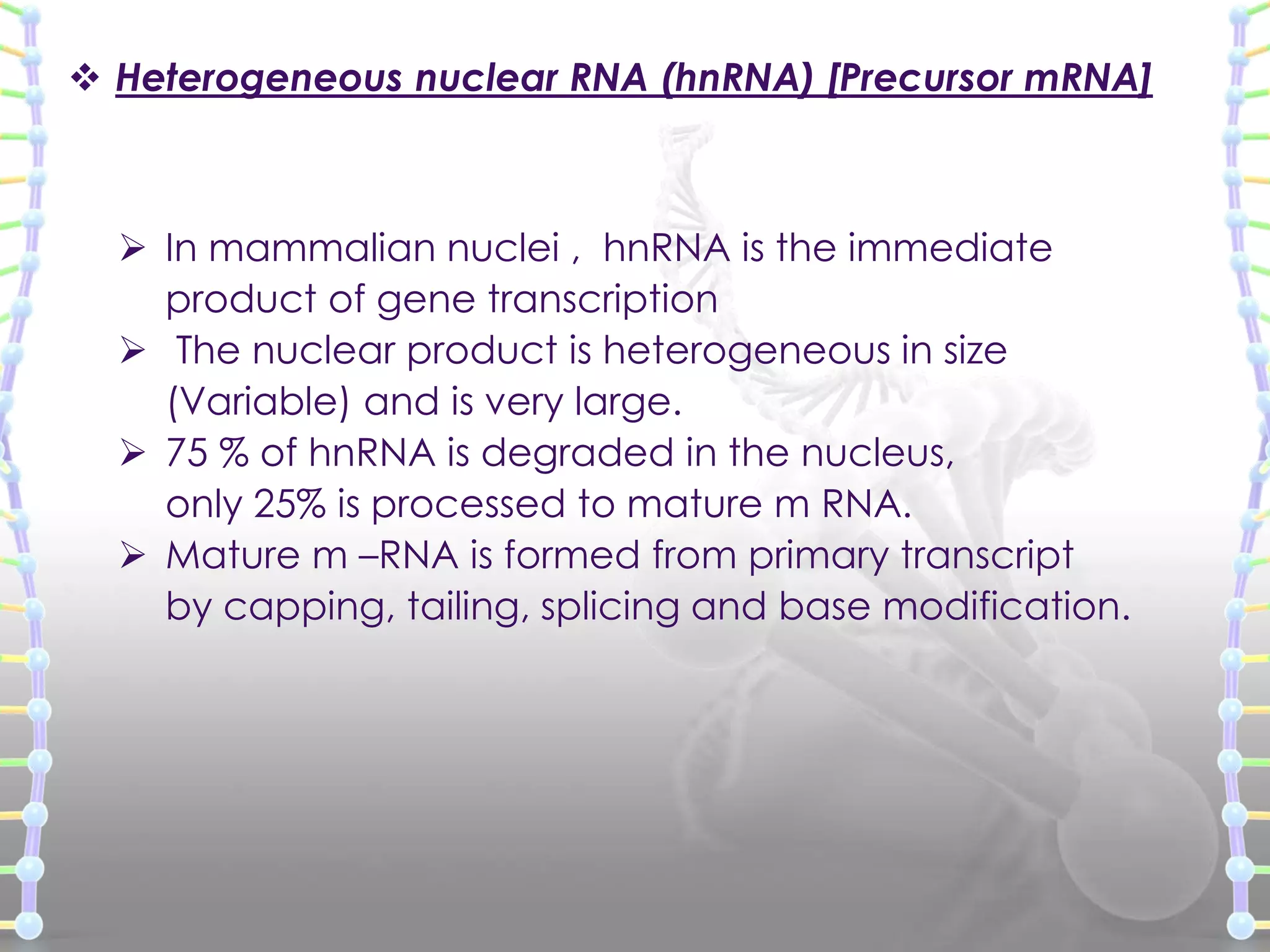  Heterogeneous nuclear RNA (hnRNA) [Precursor mRNA]

 In mammalian nuclei , hnRNA is the immediate
product of gene transcription
 The nuclear product is heterogeneous in size
(Variable) and is very large.
 75 % of hnRNA is degraded in the nucleus,
only 25% is processed to mature m RNA.
 Mature m –RNA is formed from primary transcript
by capping, tailing, splicing and base modification.

 