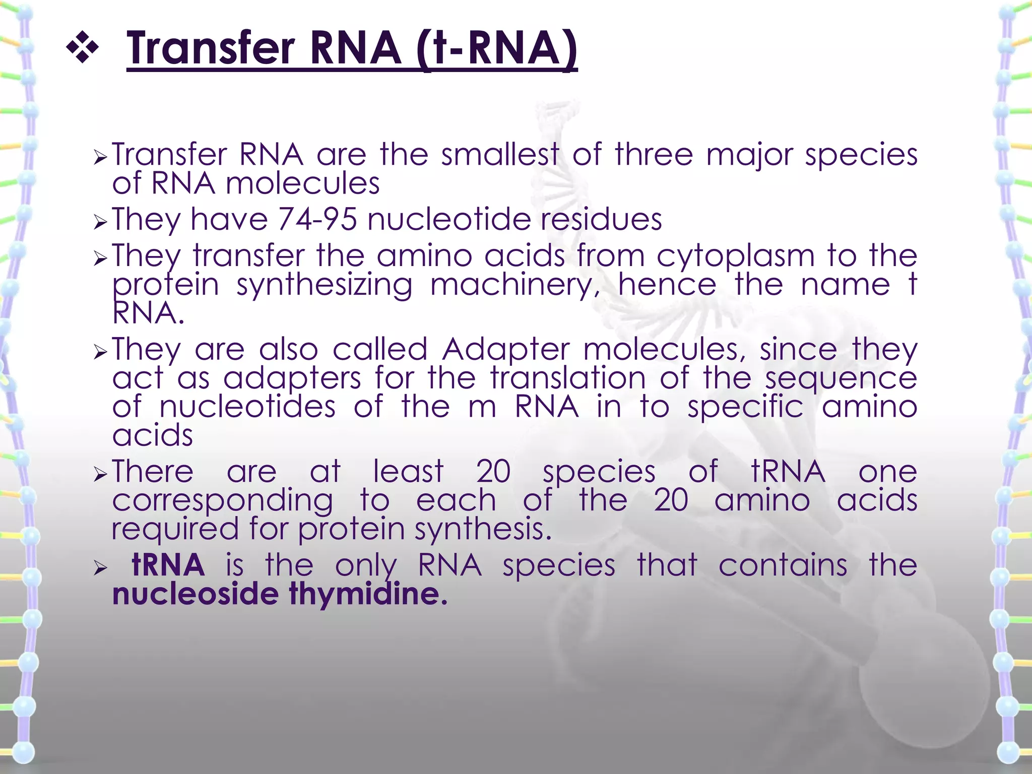  Transfer RNA (t-RNA)
 Transfer

RNA are the smallest of three major species
of RNA molecules
 They have 74-95 nucleotide residues
 They transfer the amino acids from cytoplasm to the
protein synthesizing machinery, hence the name t
RNA.
 They are also called Adapter molecules, since they
act as adapters for the translation of the sequence
of nucleotides of the m RNA in to specific amino
acids
 There are at least 20 species of tRNA one
corresponding to each of the 20 amino acids
required for protein synthesis.
 tRNA is the only RNA species that contains the
nucleoside thymidine.

 