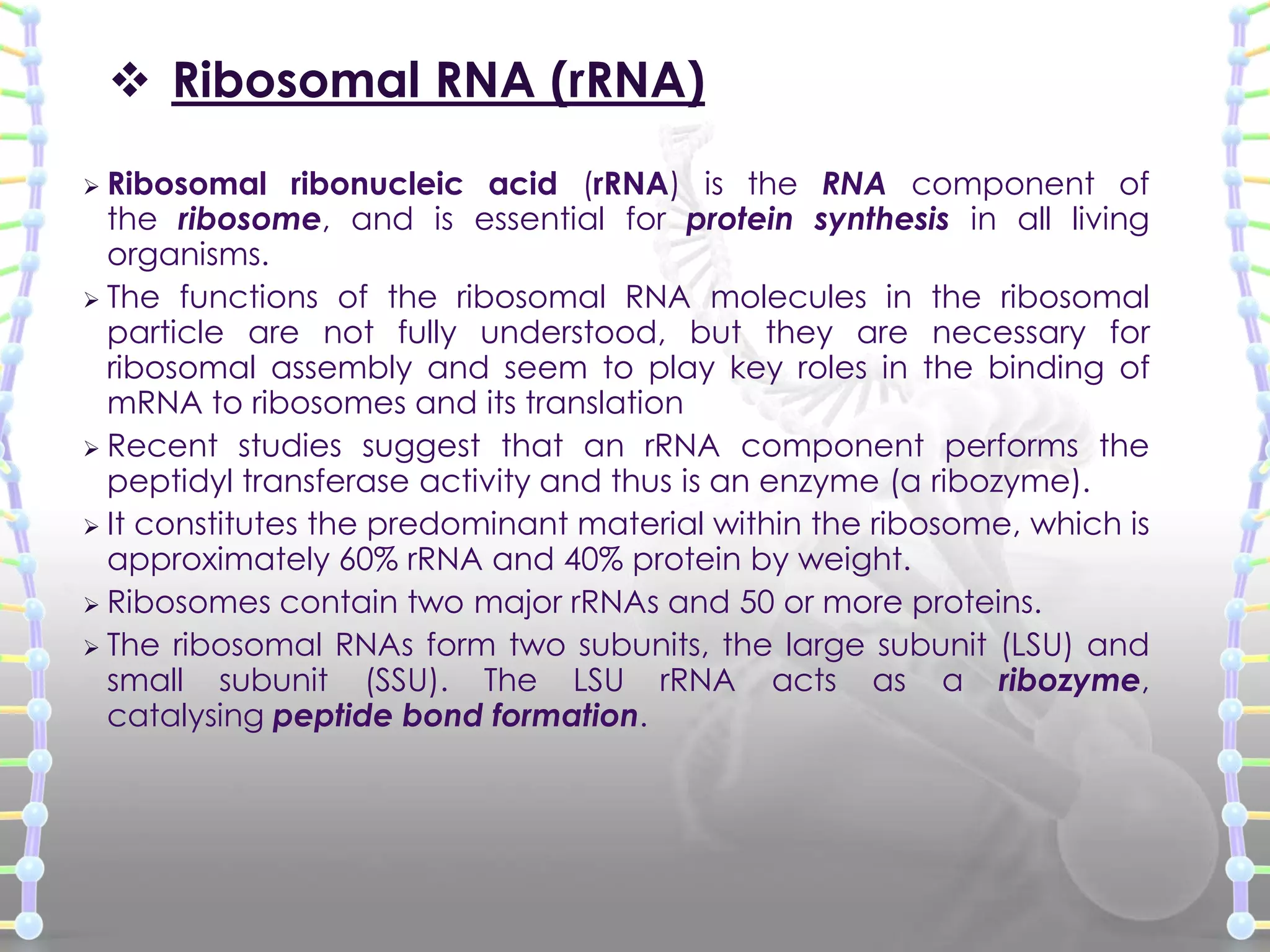  Ribosomal RNA (rRNA)
 Ribosomal

ribonucleic acid (rRNA) is the RNA component of
the ribosome, and is essential for protein synthesis in all living
organisms.
 The functions of the ribosomal RNA molecules in the ribosomal
particle are not fully understood, but they are necessary for
ribosomal assembly and seem to play key roles in the binding of
mRNA to ribosomes and its translation
 Recent studies suggest that an rRNA component performs the
peptidyl transferase activity and thus is an enzyme (a ribozyme).
 It constitutes the predominant material within the ribosome, which is
approximately 60% rRNA and 40% protein by weight.
 Ribosomes contain two major rRNAs and 50 or more proteins.
 The ribosomal RNAs form two subunits, the large subunit (LSU) and
small subunit (SSU). The LSU rRNA acts as a ribozyme,
catalysing peptide bond formation.

 