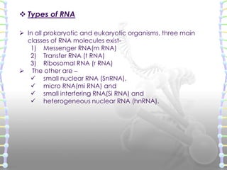 Structure of dna and rna Slide 55