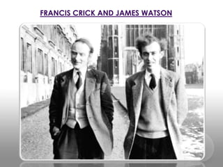FRANCIS CRICK AND JAMES WATSON

 