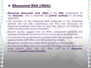Structure of dna and rna Slide 63