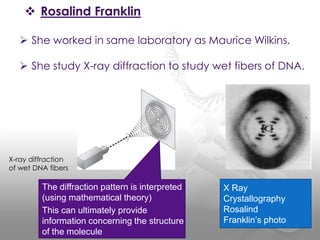  Rosalind Franklin
 She worked in same laboratory as Maurice Wilkins.
 She study X-ray diffraction to study wet fibers ...