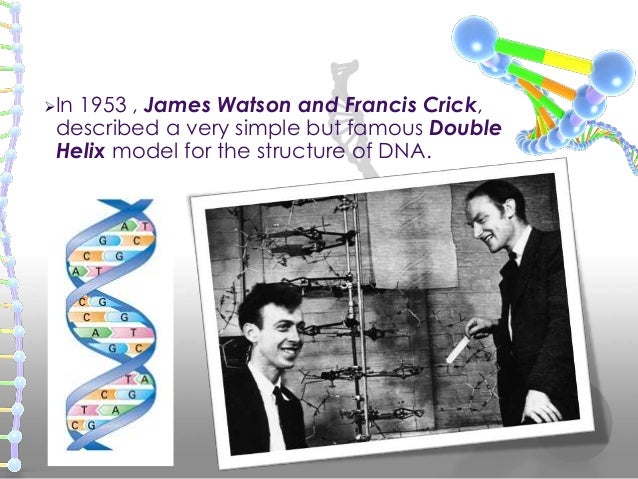 Resultado de imagem para James Watson Dna 28 feb 1953