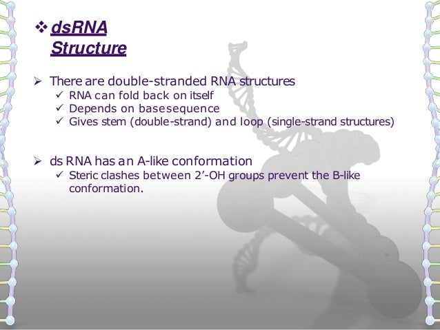 Structure Of Dna Rna